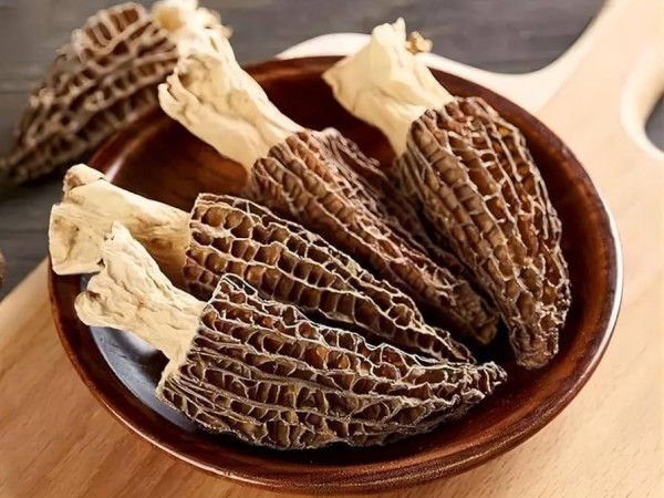 Culinary Delights with Morel Mushrooms