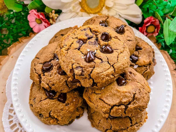 Chickpea and Chocolate Chip Delights